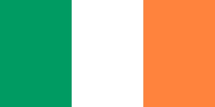 Irish flag icon - isolated vector illustration
