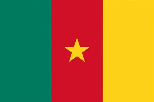 Cameroon flag and language icon - isolated vector illustration