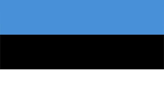Estonian flag and language icon - isolated vector illustration