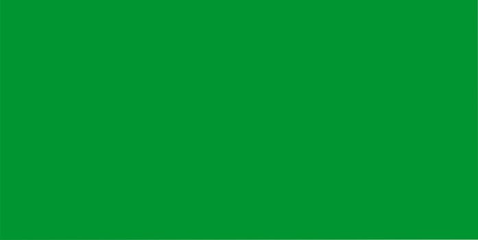 Flag of Libya during Qaddafi's regime (1969-2011)