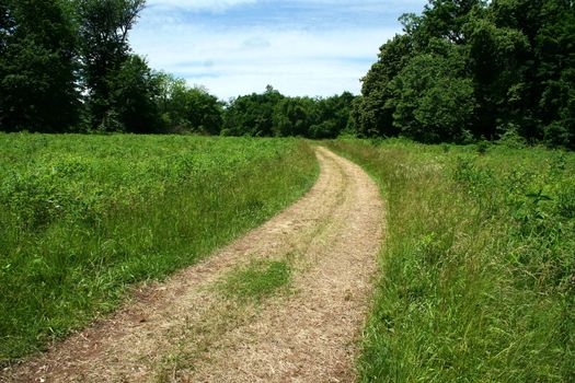 A path through a grassy field