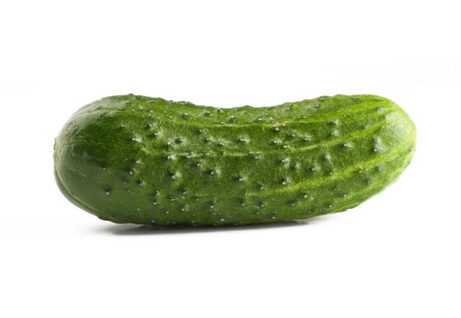 Fresh cucumber on the white isolated background