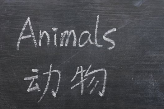 Animals - word written on a smudged blackboard with a Chinese translation