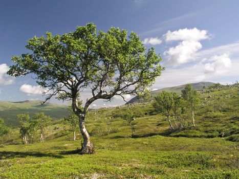 Beautiful mountain landscape with blue sky