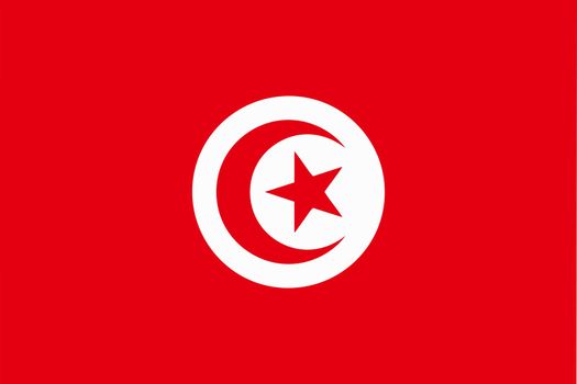 Tunisian flag and language icon - isolated vector illustration