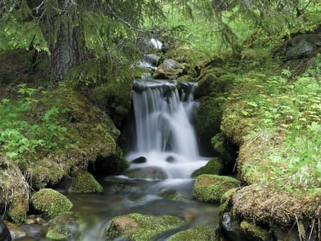 Beautiful landscape of mountain stream