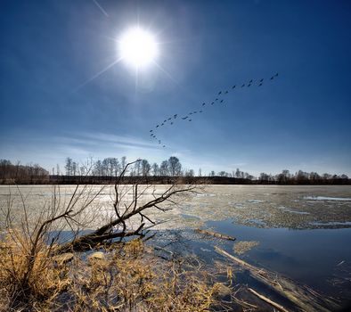 Spring.Last Days for the Ice.