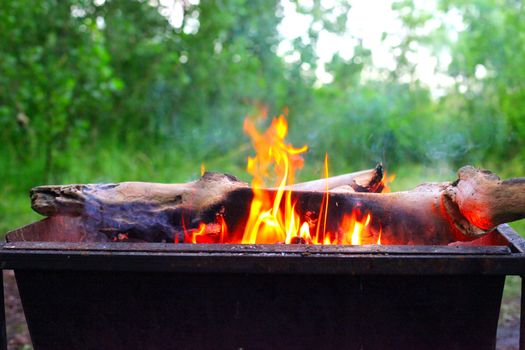 campfire in the brazier on the nature