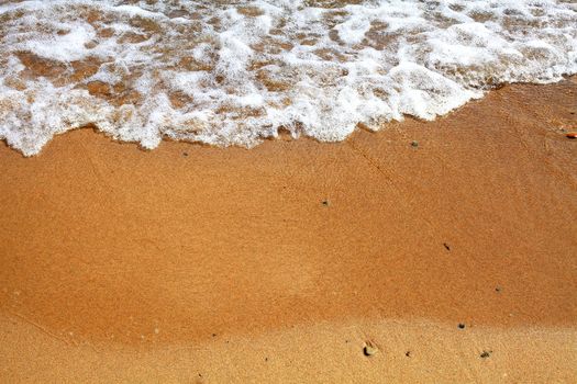 Detail of a sandy beach with fresh sea foam from a wave washing on a summer beach