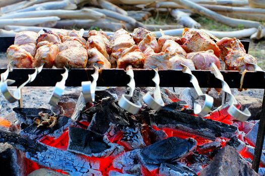 barbecue cooking on the nature