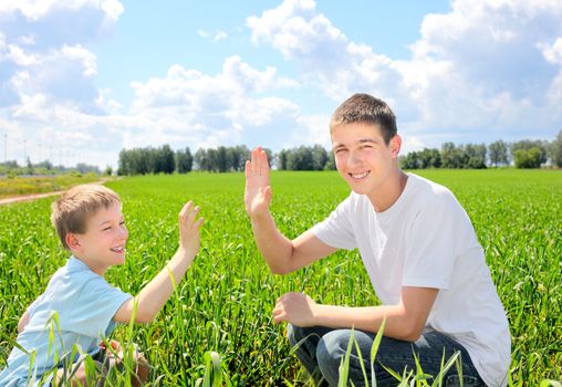 happy brothers shake hands in the summer field