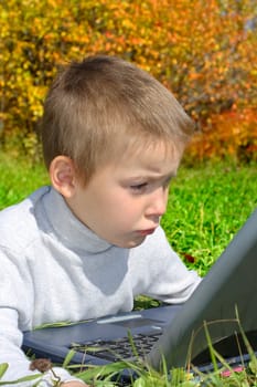 serious boy with notebook in the autumn park