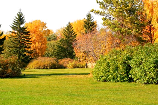 autumn landscape of the city park with different trees and bushes