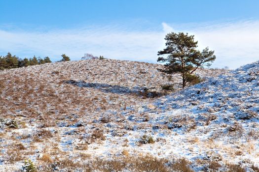 dunes covered with snow over blue clear sky