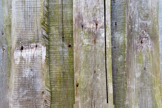 Unpainted natural wooden wall with rusty nails