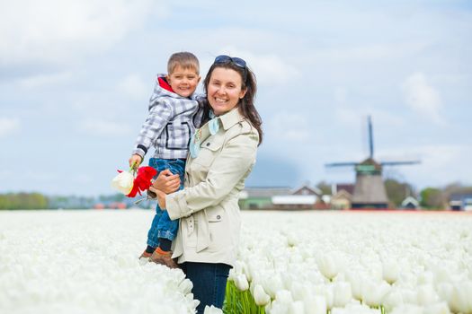 Boy with his mother walks between of the purple tulips field