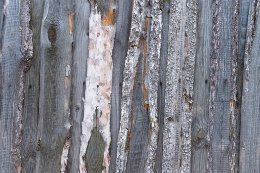 Unpainted natural rough wooden wall with rusty nails