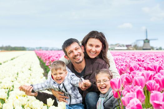 Family of four walks between of the purple tulips field