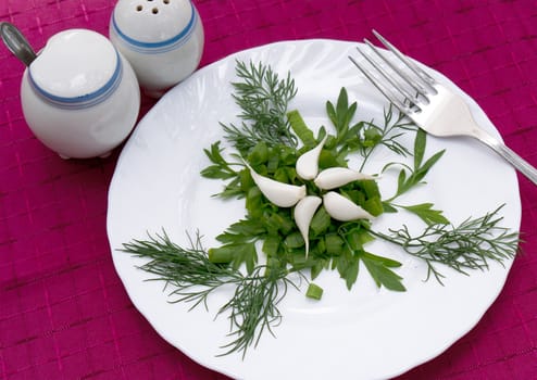 Fresh appetizing salad from green vegetables