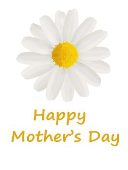 Mother's Day card to Mum with a white daisy on a white background