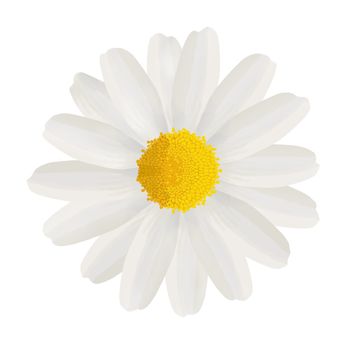 Birthday or Mother's Day card to Mum with a white daisy on a white background