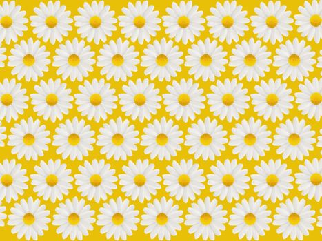 Happy Birthday card with white daisies on a yellow background wallpaper