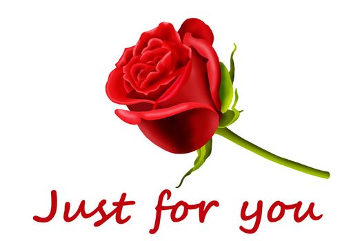 Just for you on a card with a single red rose isolated on a white background