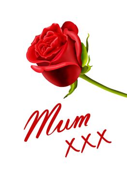 Mum xxx on a card with a single red rose isolated on a white background