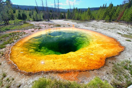 Bright colors of the Morning Glory Pool in Yellowstone National Park of Wyoming.