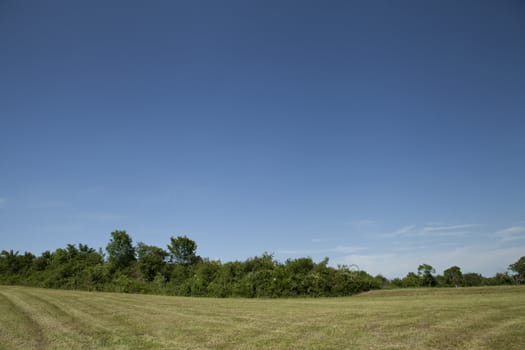 beautiful summer day with blue sky outdoor background green 