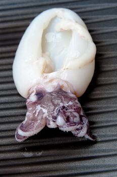 Fresh Calamari tube being grilled on BBQ