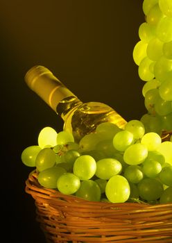 Still life with grapes and a bottle of white wine in a basket on a black background.
