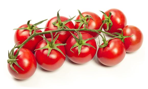 Fresh branch of tomatoes on white background