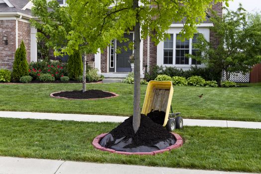 Maintaining house, quickest way to improve how your garden looks is mulching. Mulching makes big impact how your garden looks.