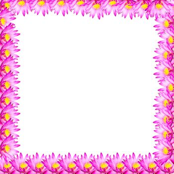 pink lotus for picture frame background