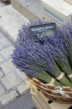 Lavender for sale on a local Provencal market