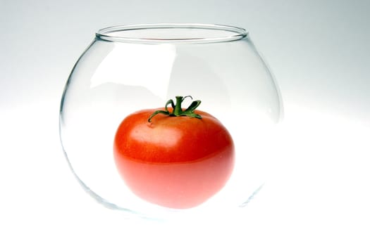red ripe tomato in a glass round jar on a gradient background