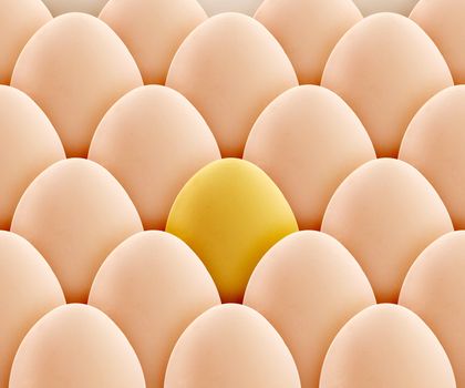 unique golden egg between set of eggs.