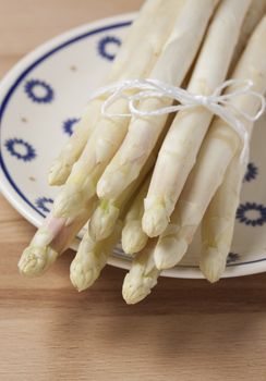 Bunch of white asparagus on plate
