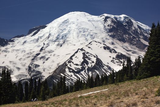 Mount Rainier Sunrise Picnic Time Snow Mountain Washington