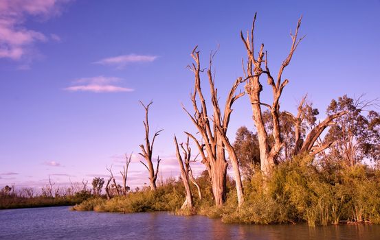 sunrise on the river murray south australia