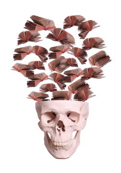 skull with flying books on white