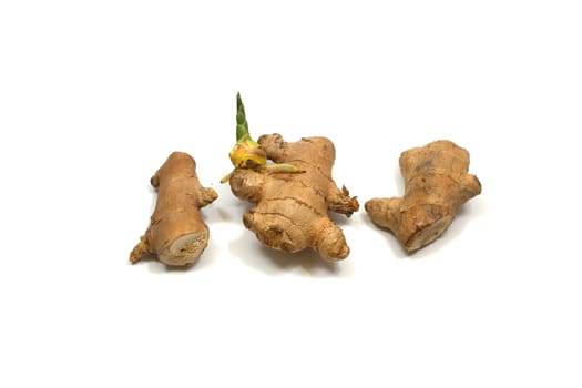 food fresh ginger root  gourmet healthy diet herb  isolated organic spice studio studio shot white background