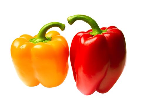excellent red and yellow peppers the covered drops of water on a white background