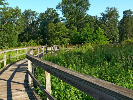 A board walk thru the marshes