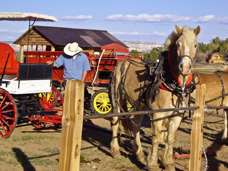 Western style horse and carriage