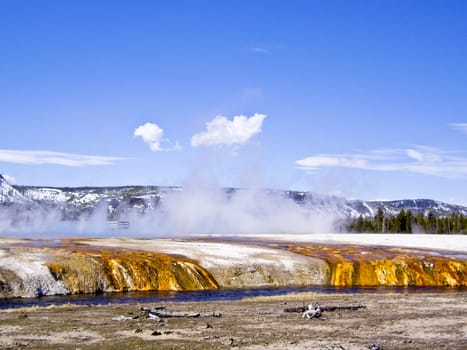 Thermal river Yellowstone Park, Wyoming USA