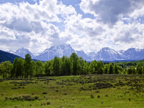 Summer is in full bloom at foot of snowy Grand Teton Mountains, USA