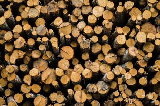Stack of tree stump for background