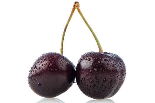 Two dark red fresh cherries on white reflective background.